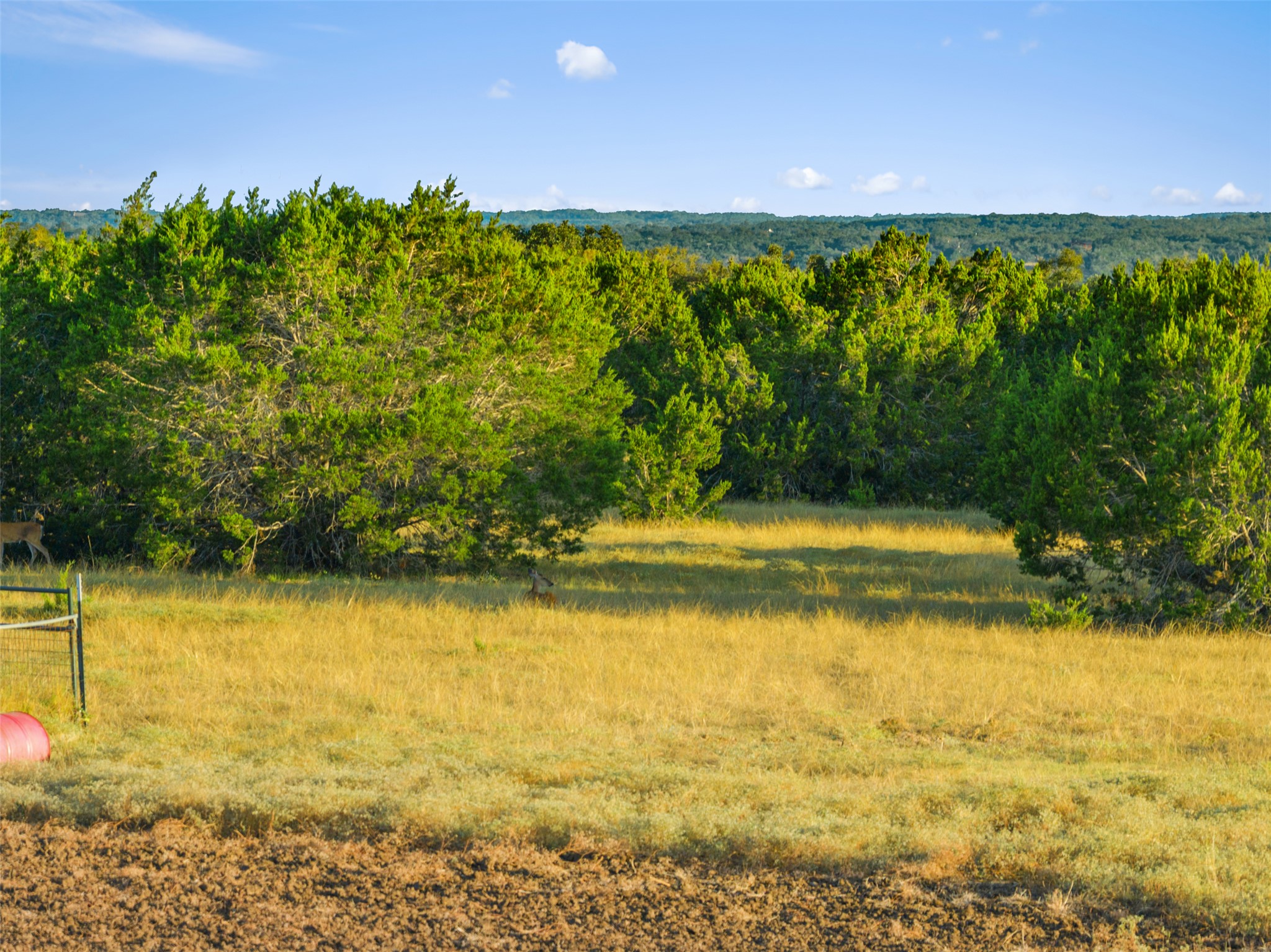 0 Hays Country Acres Road Dripping Springs, TX 78620 - Photo 27 of 33 Rolling hills and mature trees frame the scenic countryside views under a clear sky.