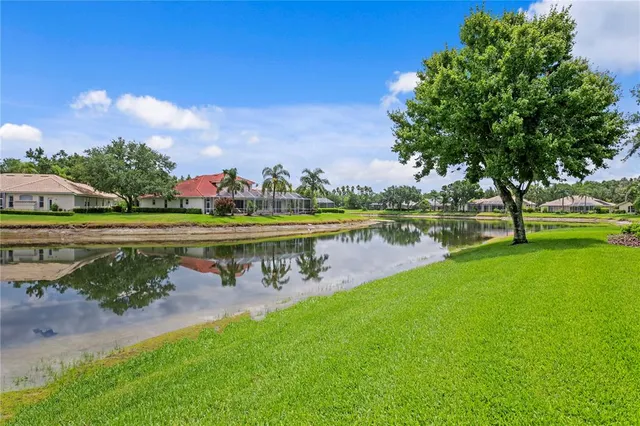 $935,000 | 17923 Arbor Haven Drive, Tampa, FL 33647