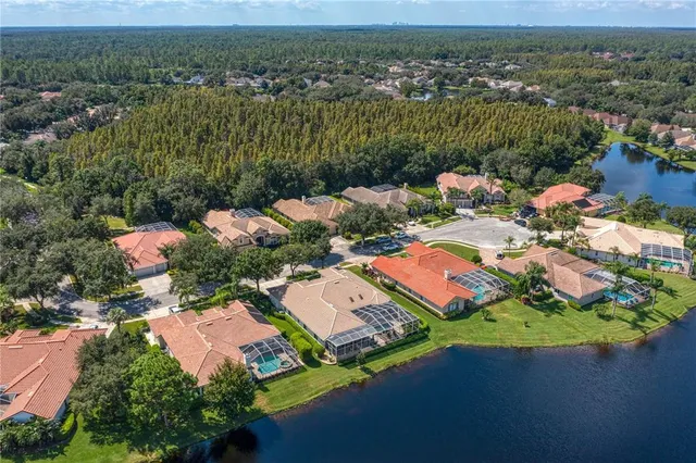 $935,000 | 17923 Arbor Haven Drive, Tampa, FL 33647