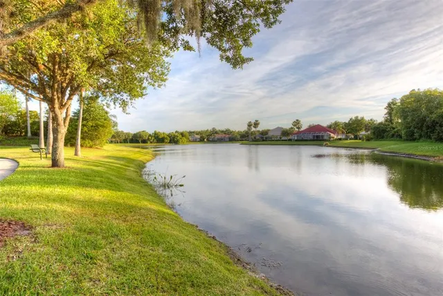 $935,000 | 17923 Arbor Haven Drive, Tampa, FL 33647