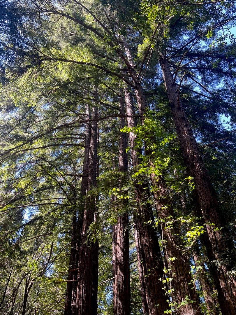 0 Sycamore Canyon Road Big Sur, CA 93920 - Photo 1 of 9 Gallery Image 1
