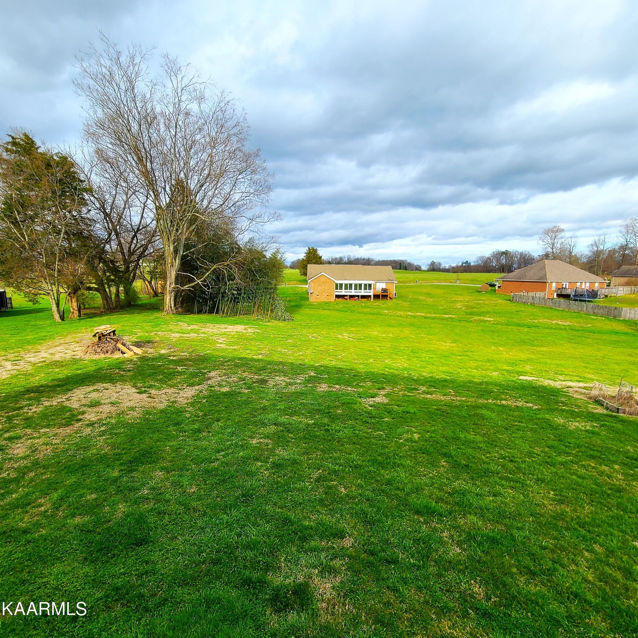 5631 J. Riley W Drive Greenback, TN 37742 - Photo 4 of 28 a view of a big yard with a large trees
