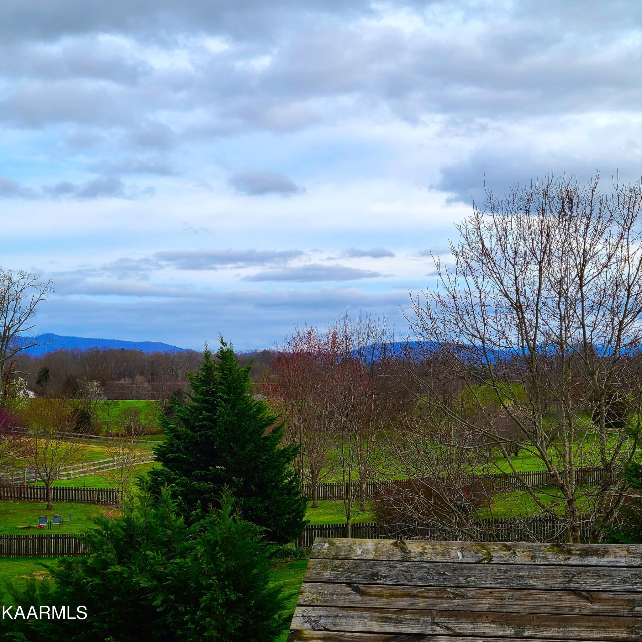 5631 J. Riley W Drive Greenback, TN 37742 - Photo 5 of 28 a view of a pathway with a garden