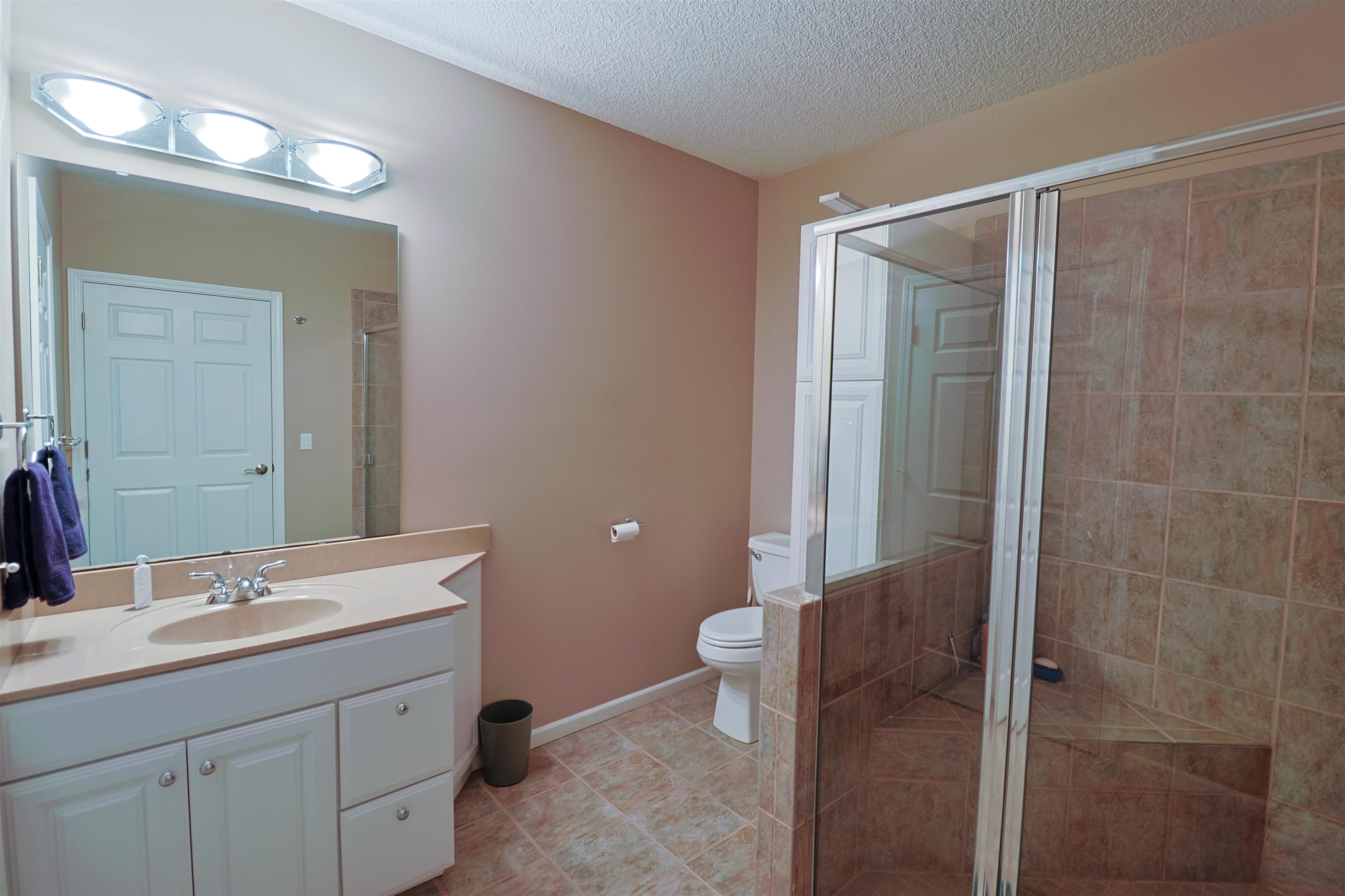 956 East Remus Road Mount Pleasant, MI 48858 - Photo 41 of 48
