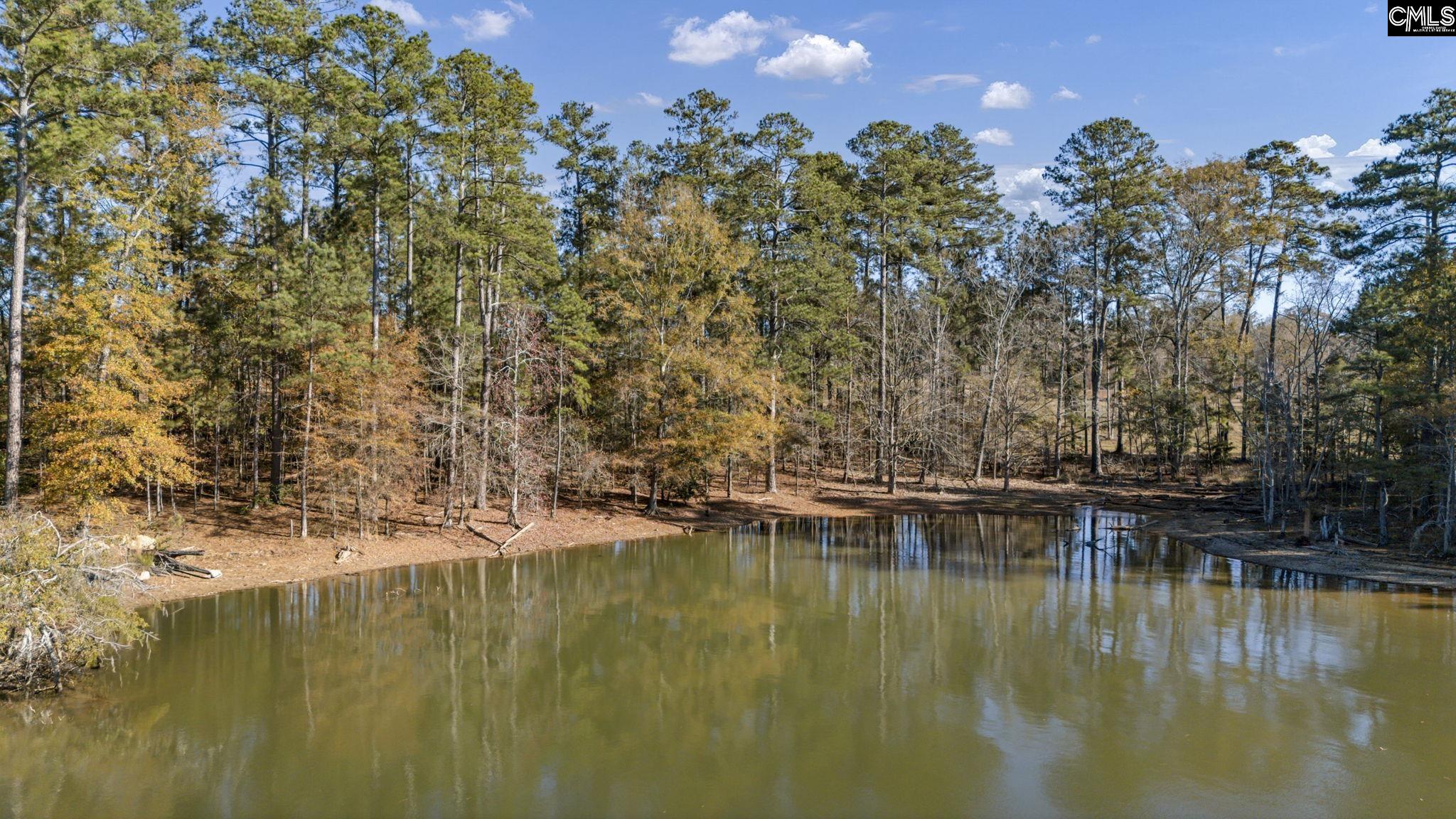0 Navigator Trail Prosperity, SC 29127 - Photo 5 of 29