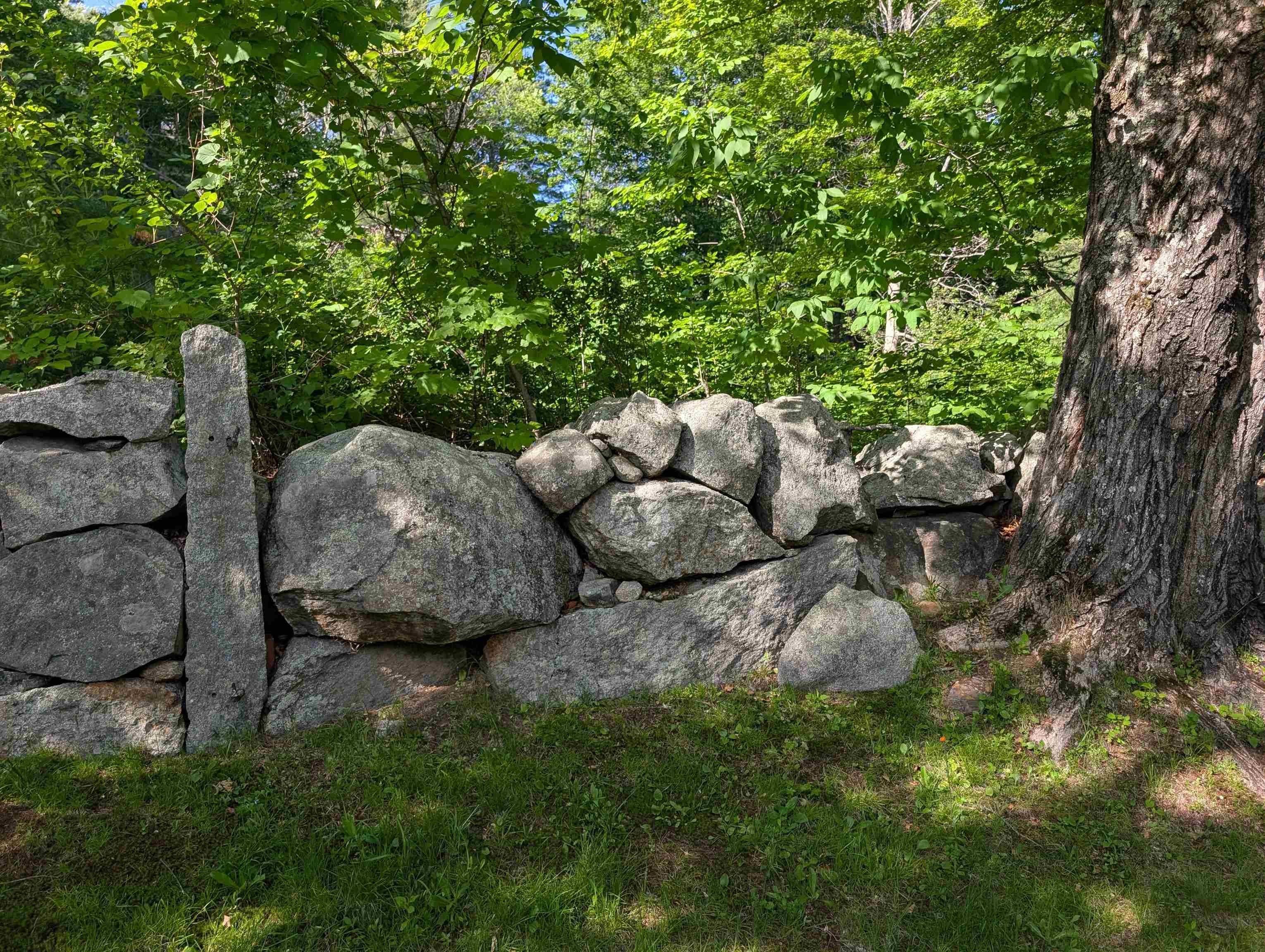 163 Maple Ridge Road Sandwich, NH 03259 - Photo 15 of 59