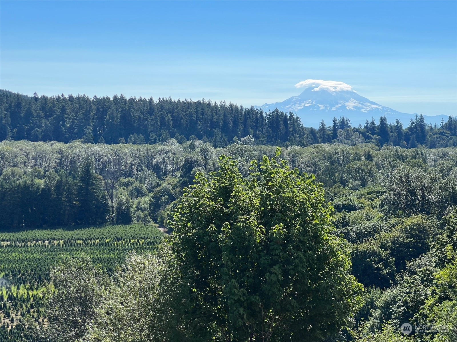 1546 Reservation Road Southeast, Unit 204 Olympia, WA 98513 - Photo 27 of 31 Gallery Image 27