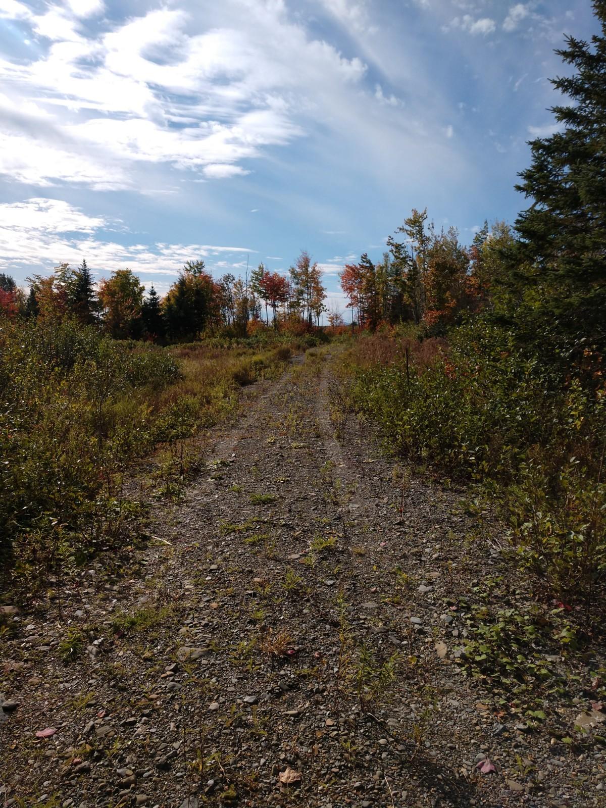 Off Off Rt Road Houlton, ME 04730 - Photo 8 of 8 IMG_20191003_144036116