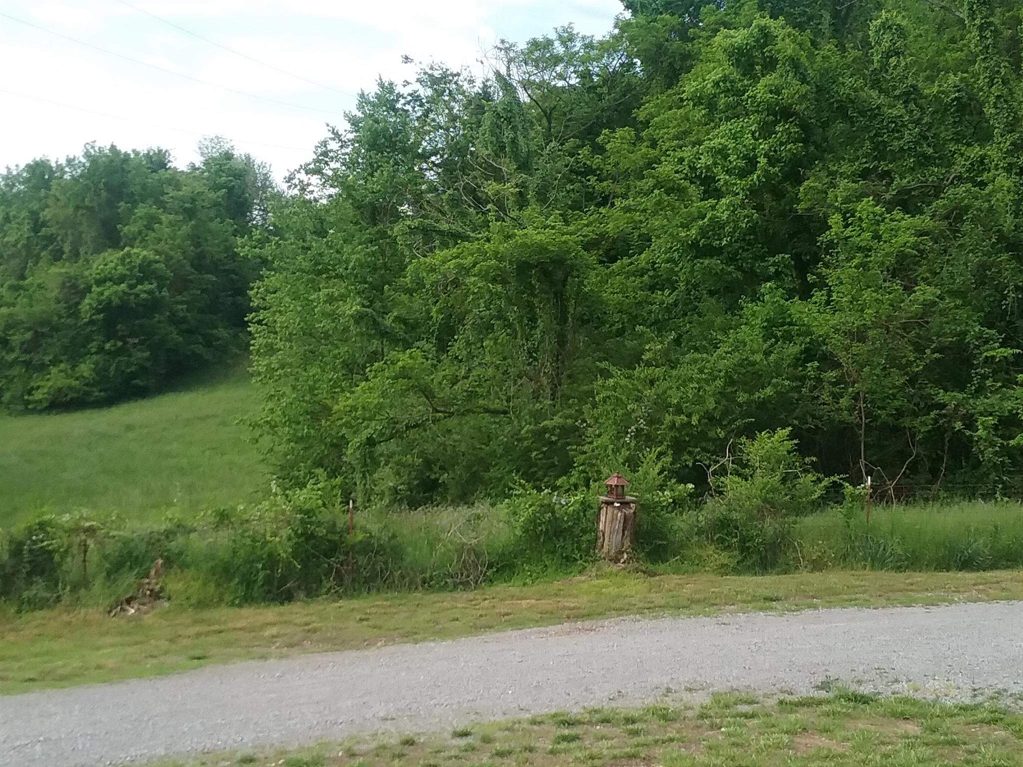 1645 Springplace Road Lewisburg, TN 37091 - Photo 13 of 17 Gallery Image 13