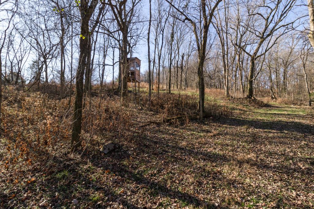 1645 Springplace Road Lewisburg, TN 37091 - Photo 15 of 17 Gallery Image 15