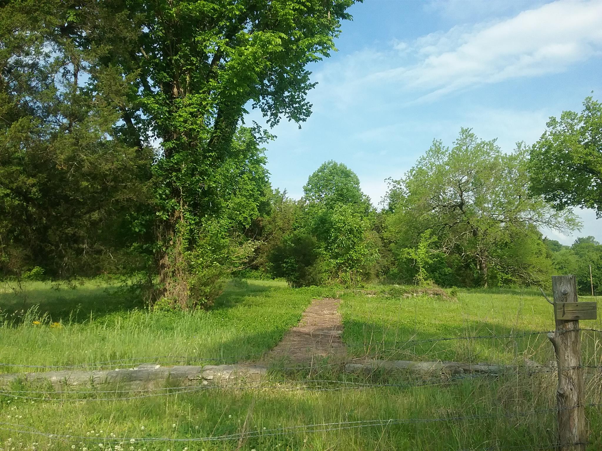 1645 Springplace Road Lewisburg, TN 37091 - Photo 16 of 17 Gallery Image 16
