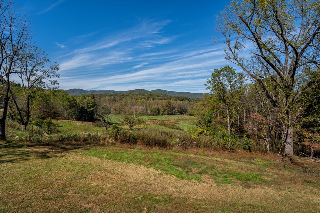 7590 A Mobile Road Blue Ridge, GA 30513 - Photo 53 of 70