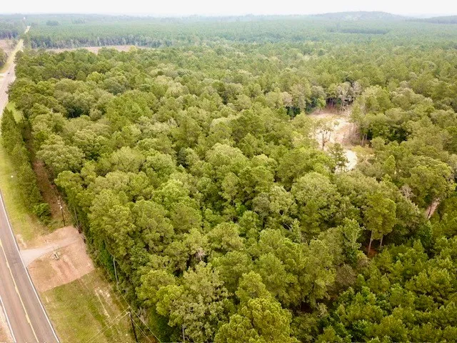 $185,500 | 8499 Fm 92 Street, Woodville, TX 75979