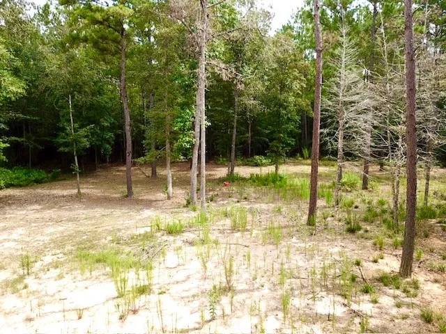 $185,500 | 8499 Fm 92 Street, Woodville, TX 75979