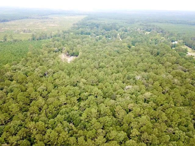 $185,500 | 8499 Fm 92 Street, Woodville, TX 75979