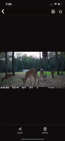 $185,500 | 8499 Fm 92 Street, Woodville, TX 75979