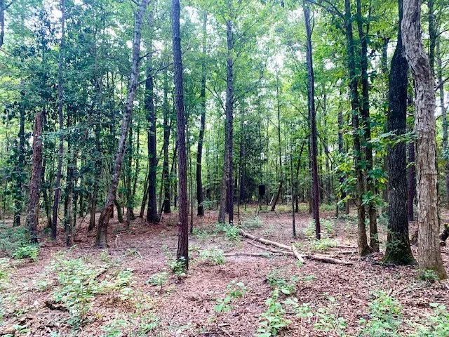 $185,500 | 8499 Fm 92 Street, Woodville, TX 75979