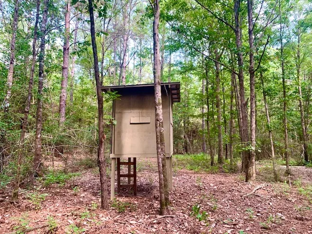 $185,500 | 8499 Fm 92 Street, Woodville, TX 75979