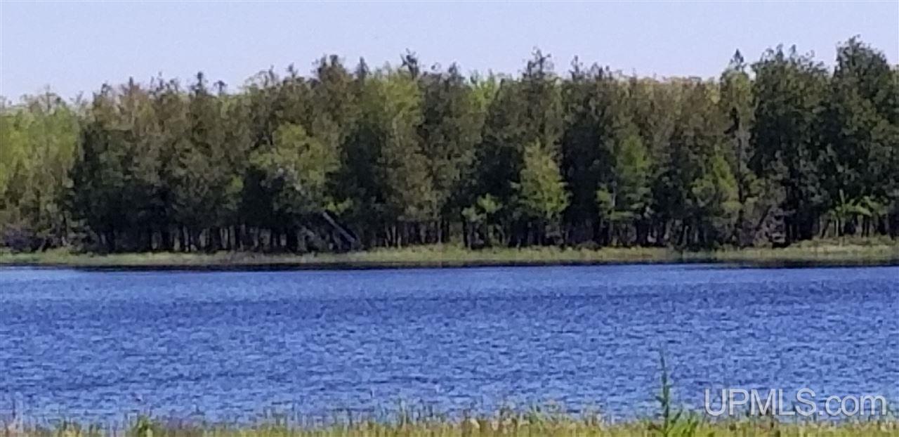 Tbd Kelly Road Gulliver, MI 49840 - Photo 15 of 20 Gallery Image 15