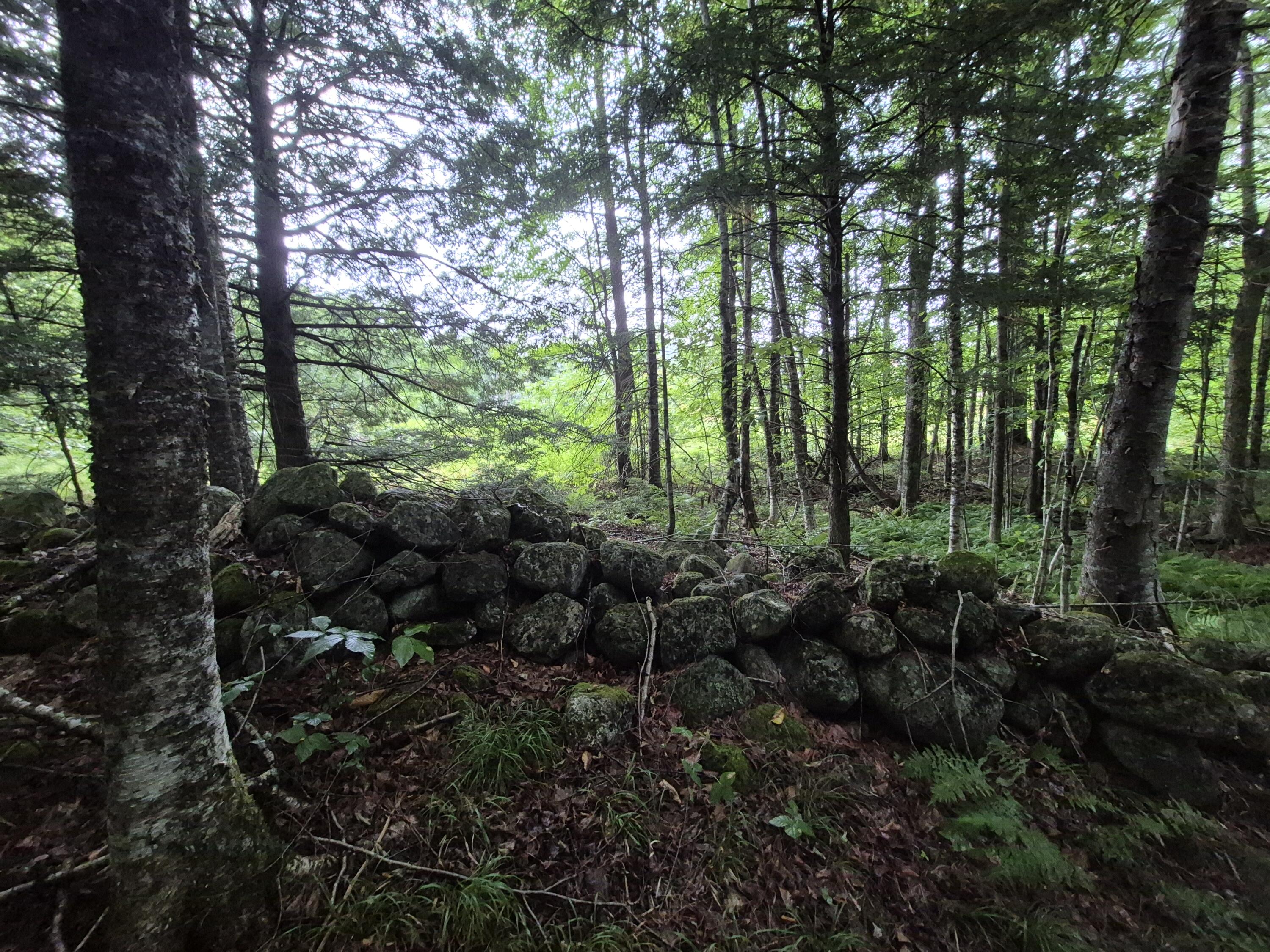 21 Mill Hill Road Hanover, ME 04237 - Photo 16 of 20 13