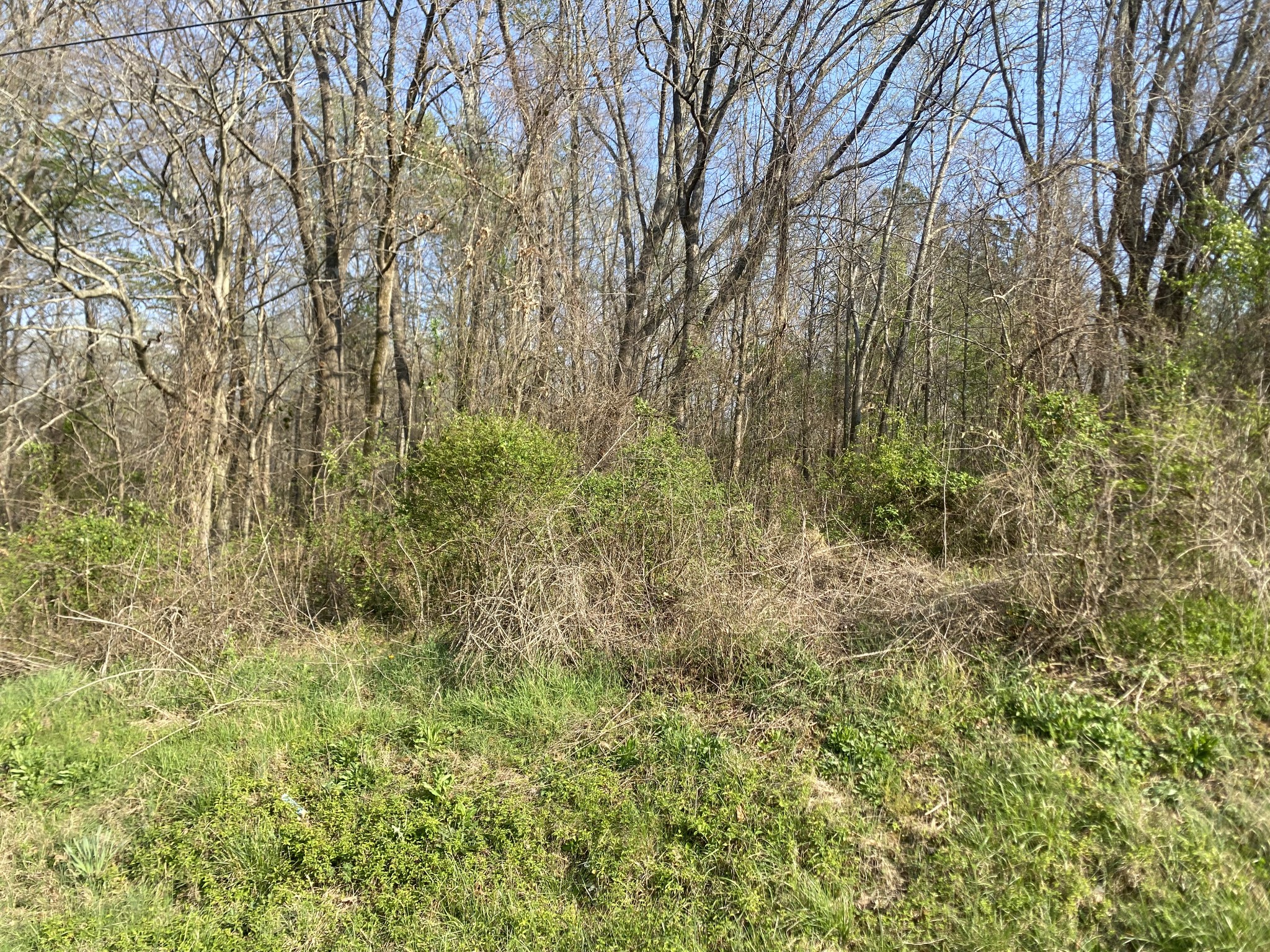 0 Mountain View Drive Morrison, TN 37357 - Photo 4 of 11 a view of a yard