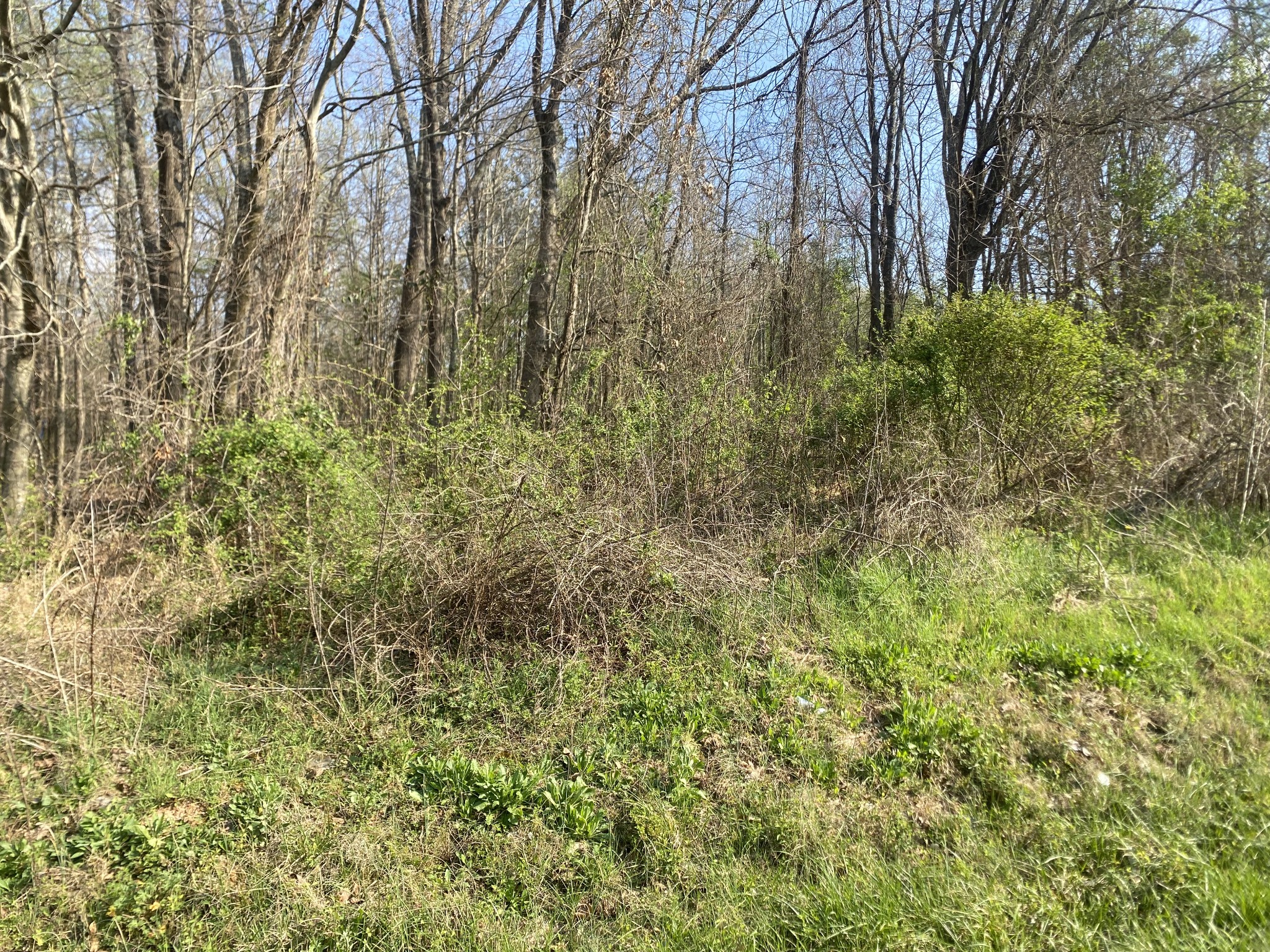 0 Mountain View Drive Morrison, TN 37357 - Photo 6 of 11 a view of a yard