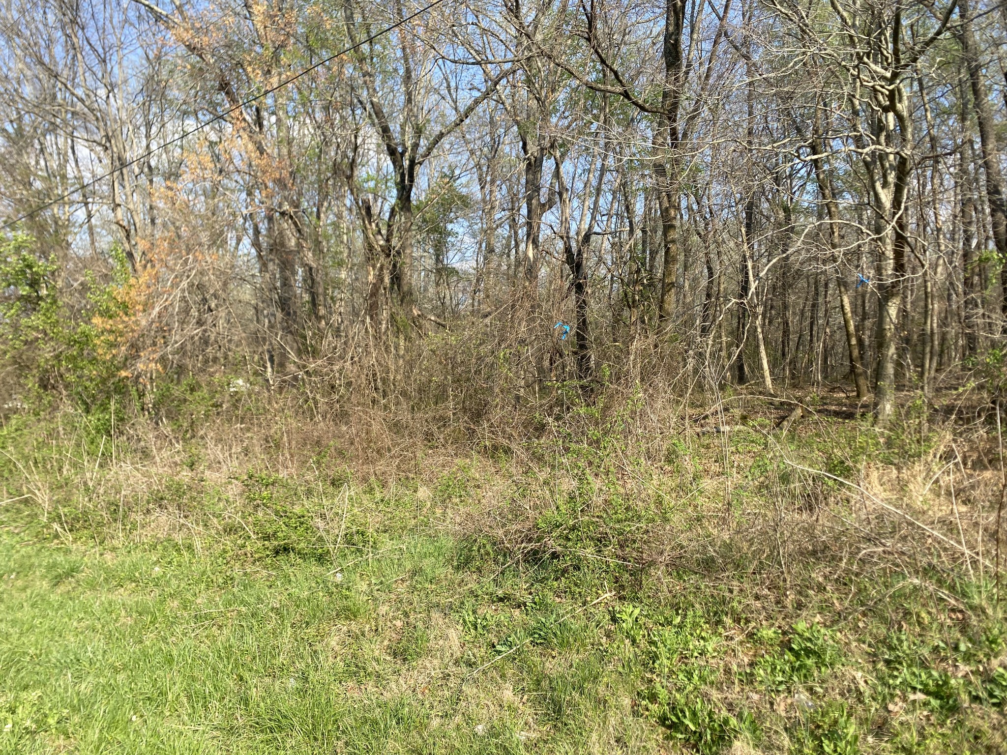 0 Mountain View Drive Morrison, TN 37357 - Photo 7 of 11 a view of a yard