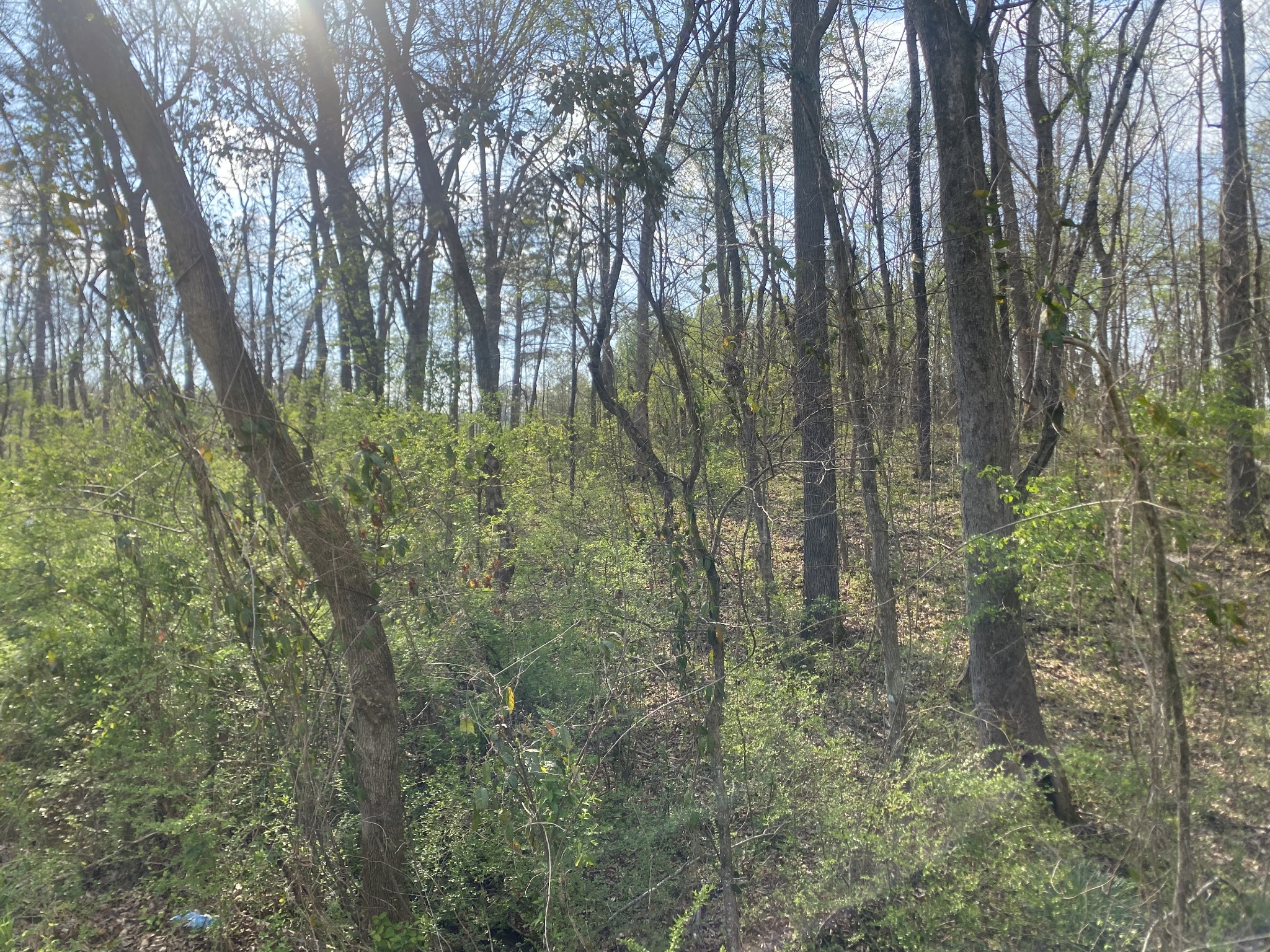 0 Mountain View Drive Morrison, TN 37357 - Photo 10 of 11