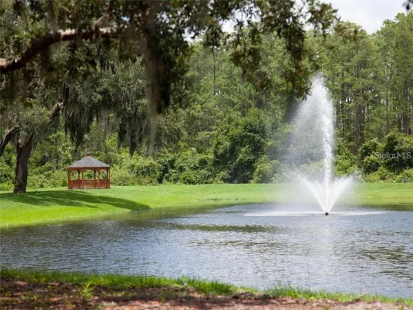 a view of a big yard with large trees