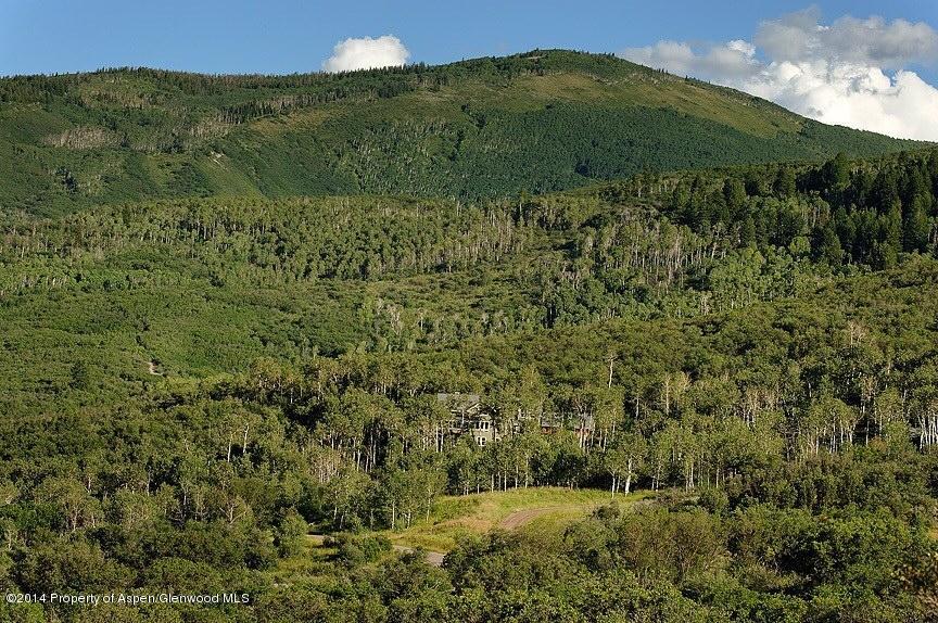 501 Greenfield Road Basalt, CO 81621 - Photo 35 of 36 a view of a lush green forest with lots of trees