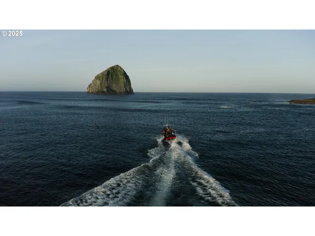 a black and white photo of a