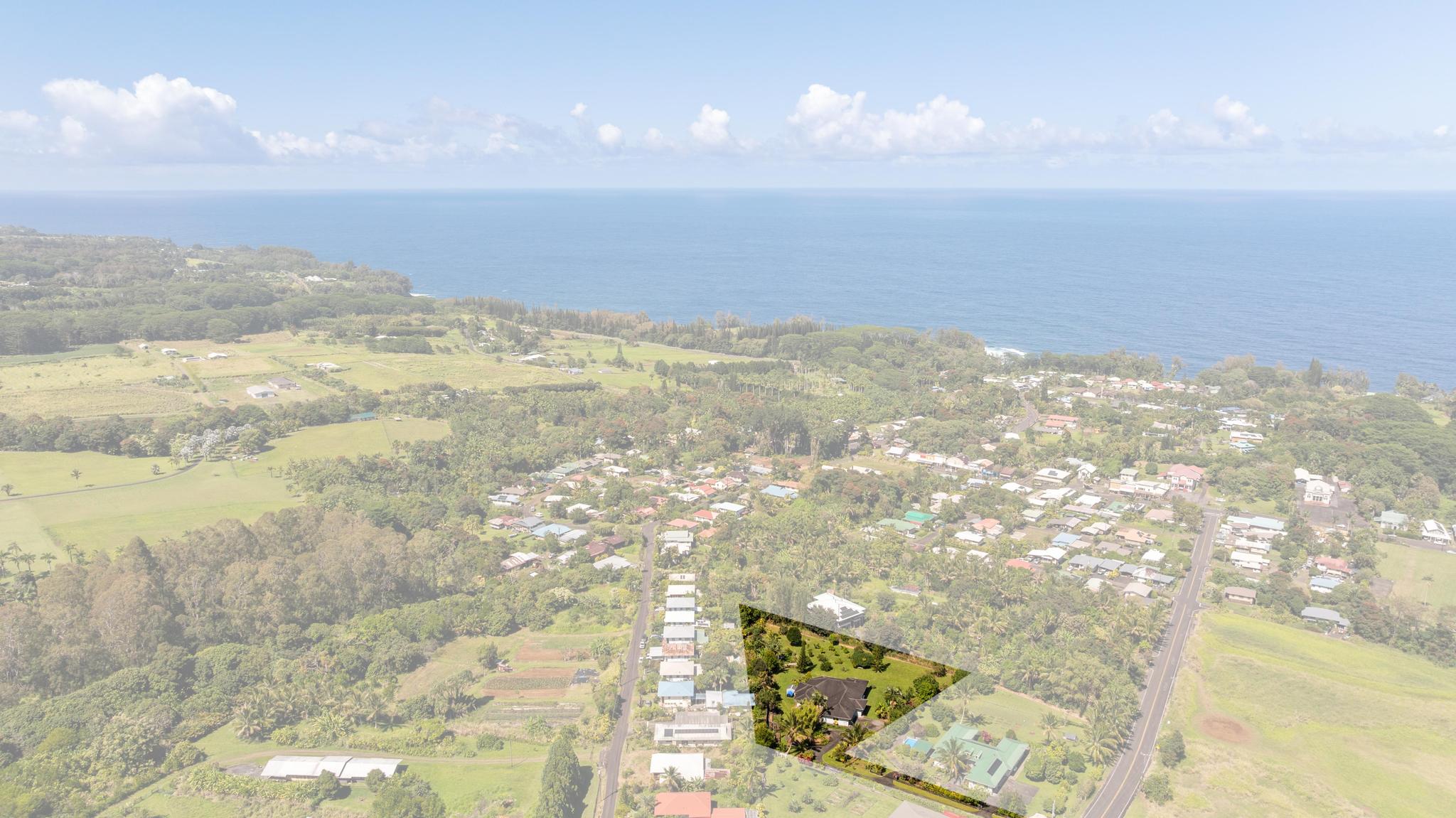 28-256 Akaka Falls Road Honomu, HI 96728 - Photo 15 of 30 a view of beach and city