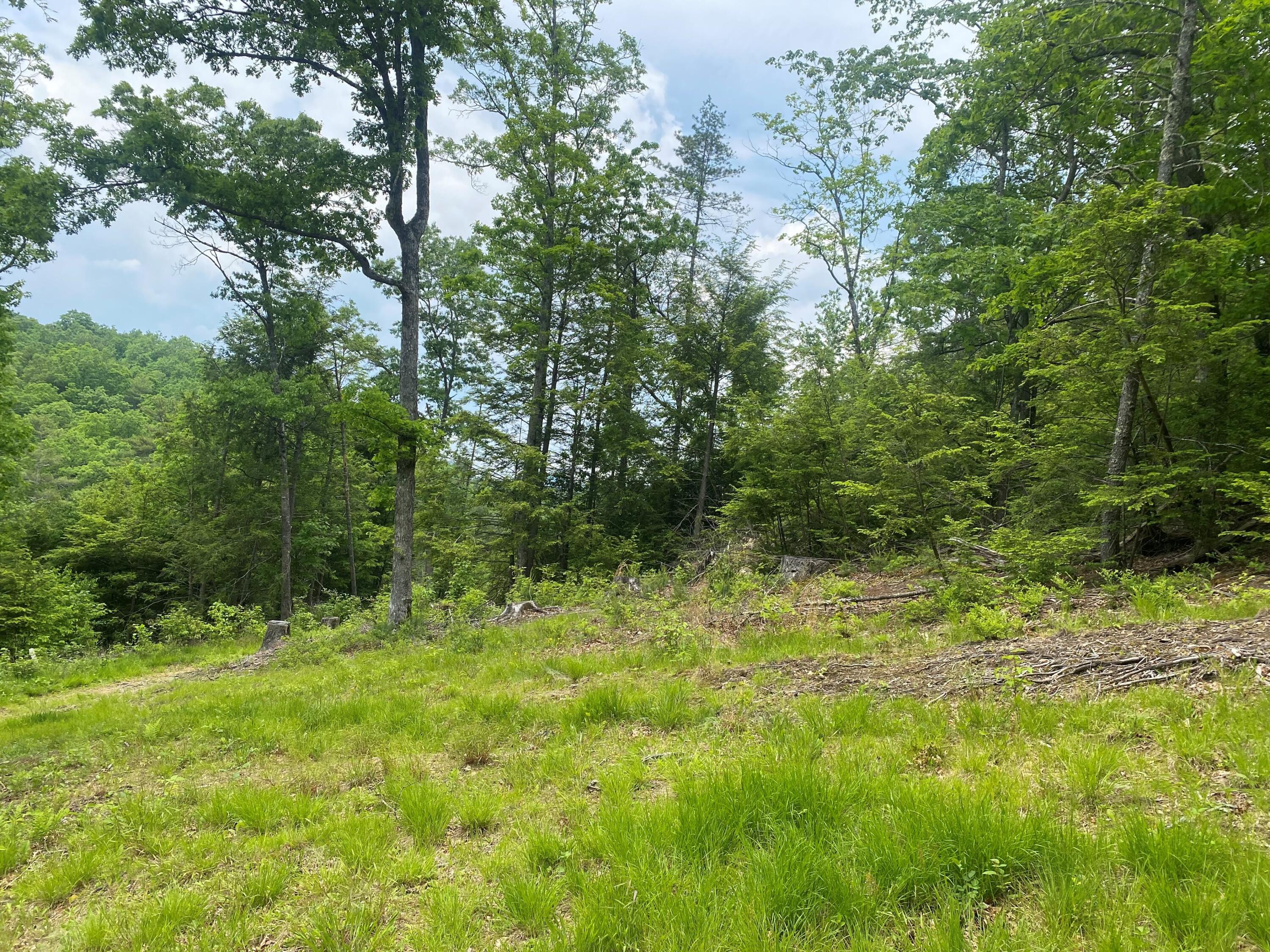 Curry Road Dunmore, WV 24934 - Photo 4 of 10 Gallery Image 4