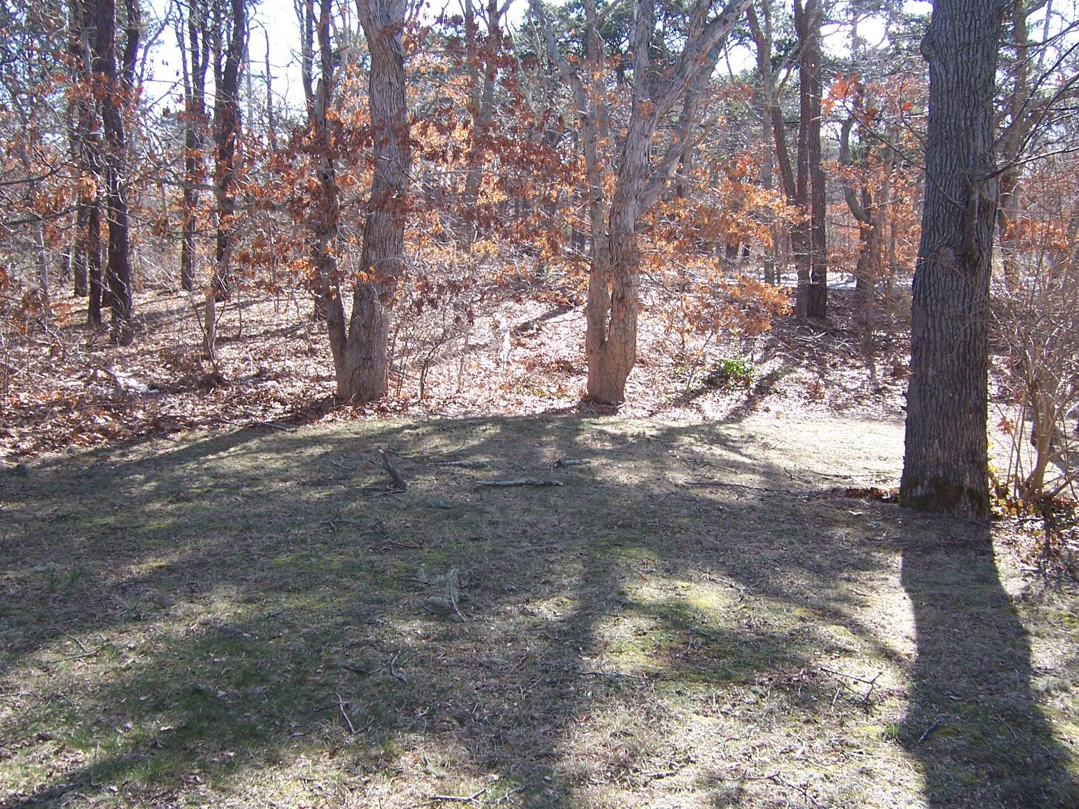 915 School House Road Eastham, MA 02642 - Photo 12 of 35 100_2696