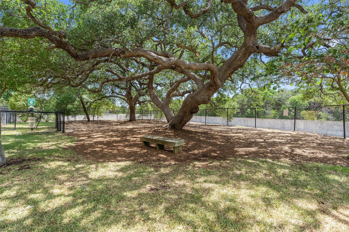 9412 Solana Vista Loop, Unit B Austin, TX 78750 - Photo 23 of 25 a view of a tree in a yard