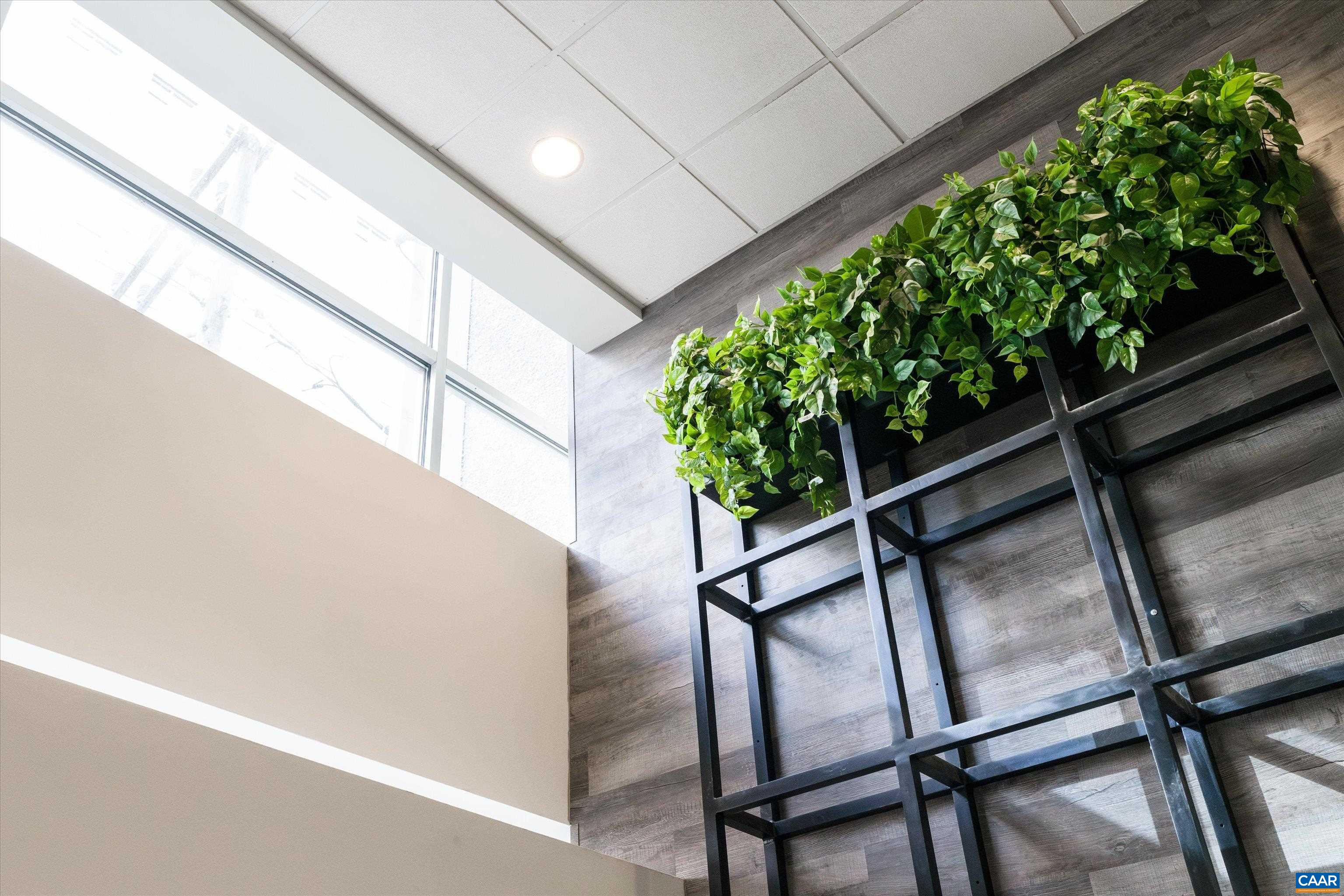 218 West Water Street Charlottesville, VA 22902 - Photo 3 of 16 a view of an outdoor space