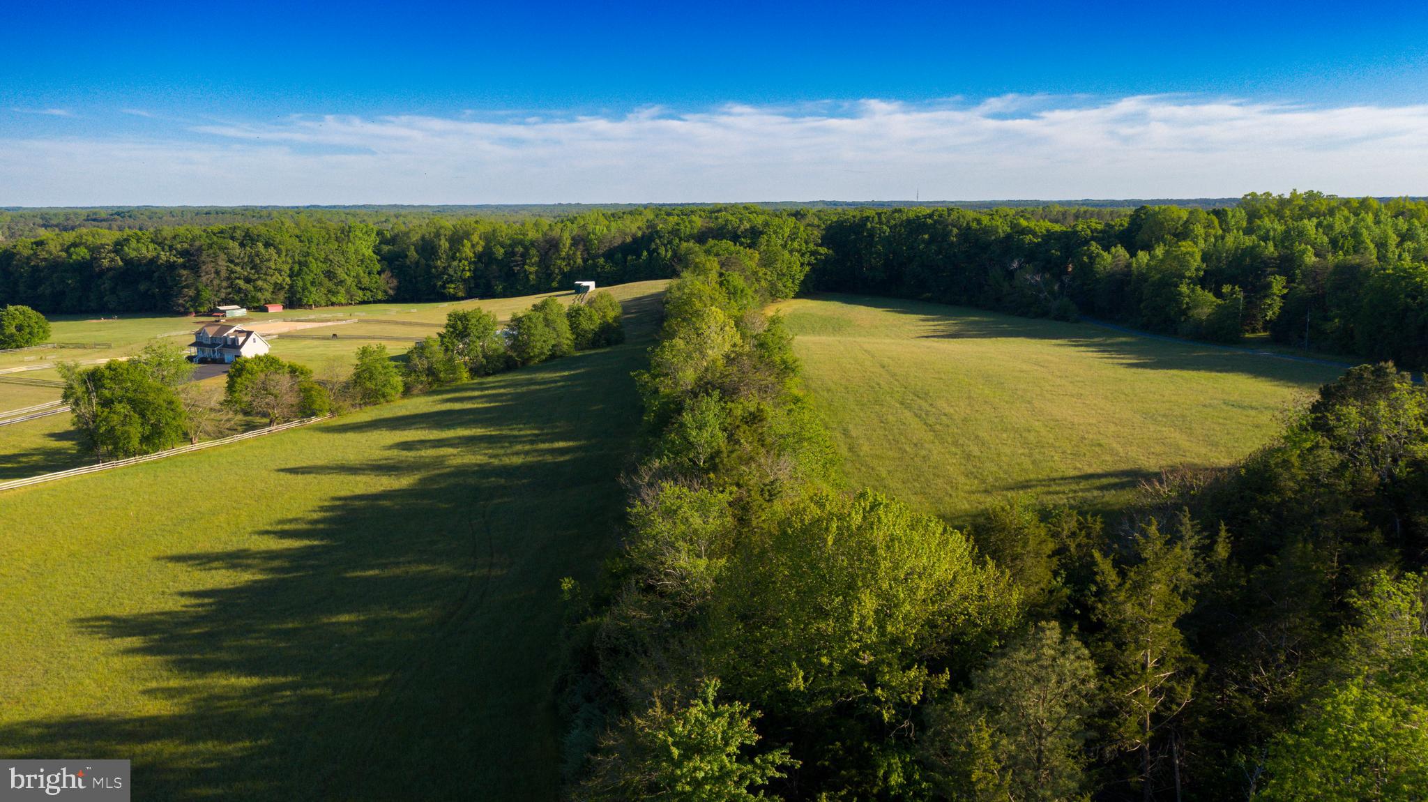 0 Trivette Road Beaverdam, VA 23015 - Photo 23 of 45