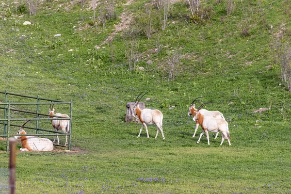 $4,250,000 | 5081 Hwy 173 Center Point, Center Point, TX 78010