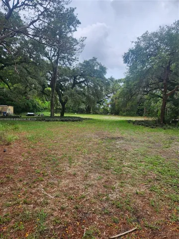a view of a green field with a tree