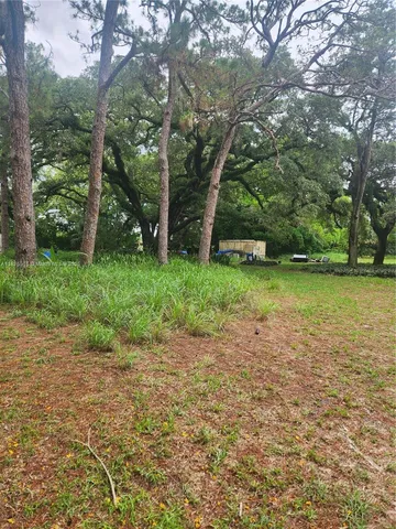 a view of a yard with a tree