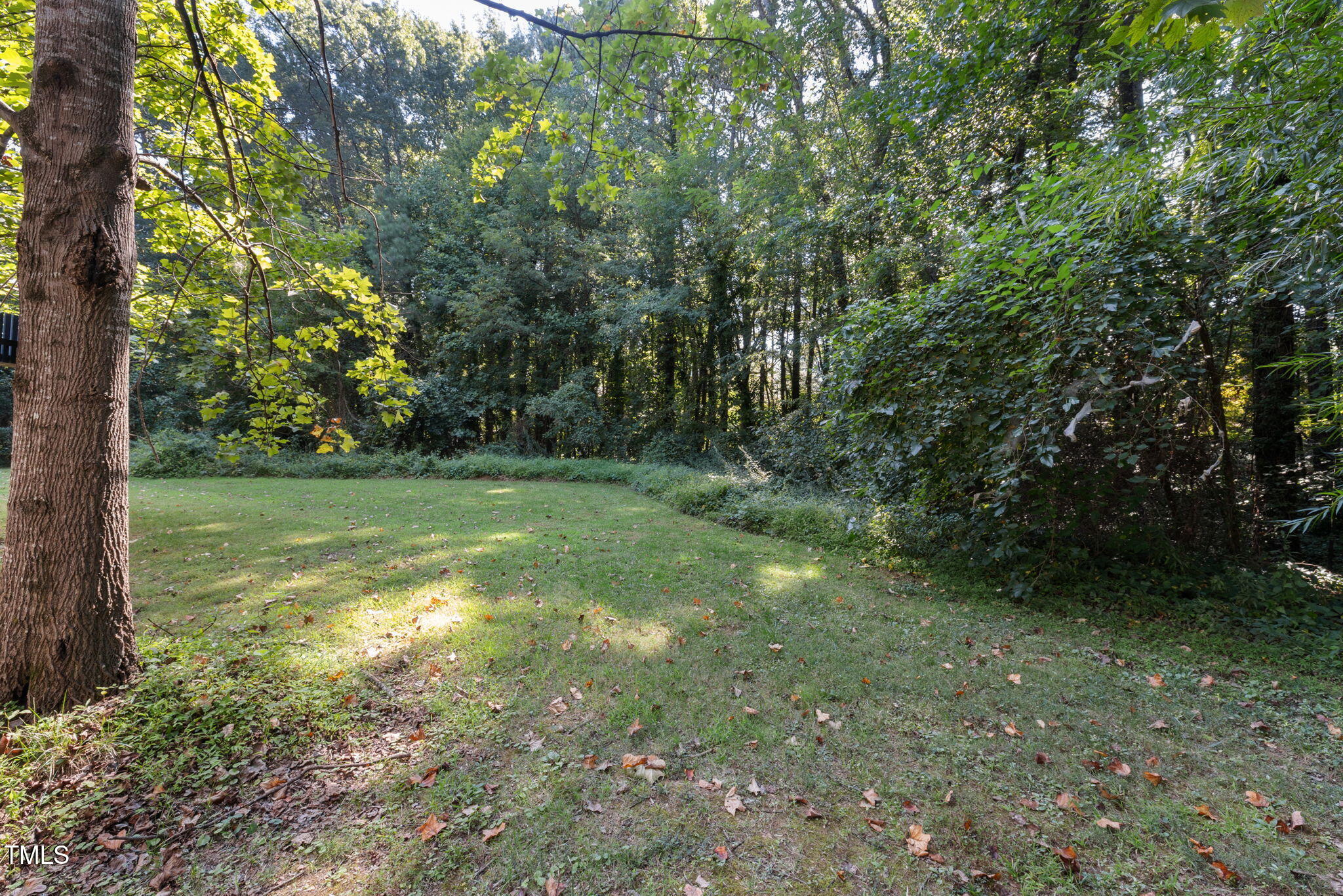 67 Red Lane Raleigh, NC 27606 - Photo 25 of 33 41-web-or-mls-DX3A4789