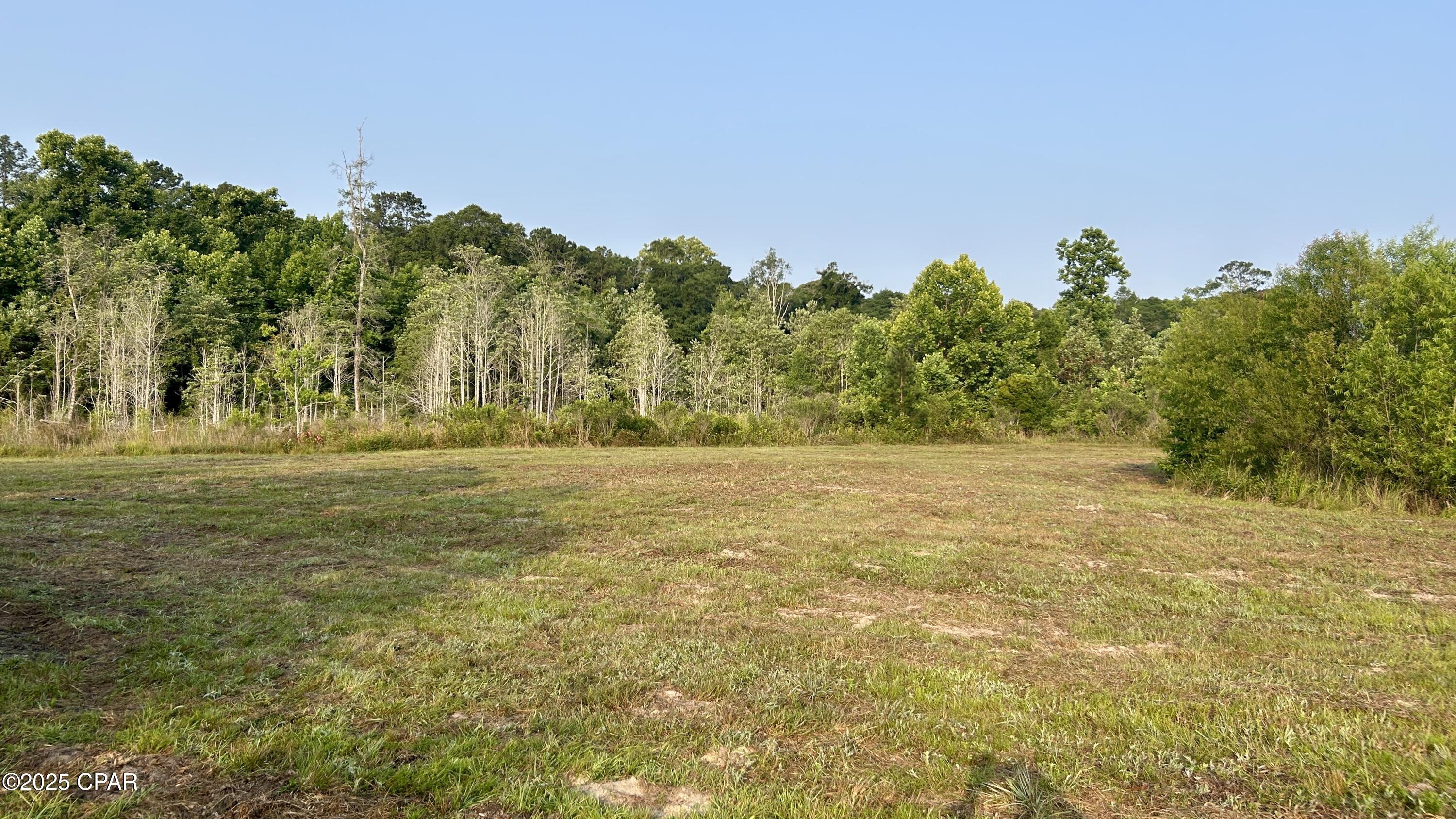0 Alred Road Westville, FL 32464 - Photo 10 of 35 Gallery Image 10