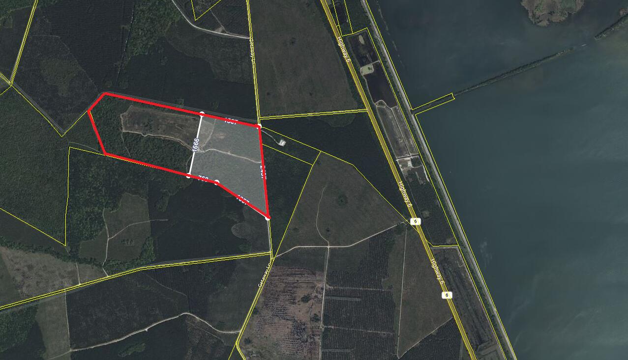 909 Getaway Lane Pinopolis, SC 29469 - Photo 3 of 12 Aerial view