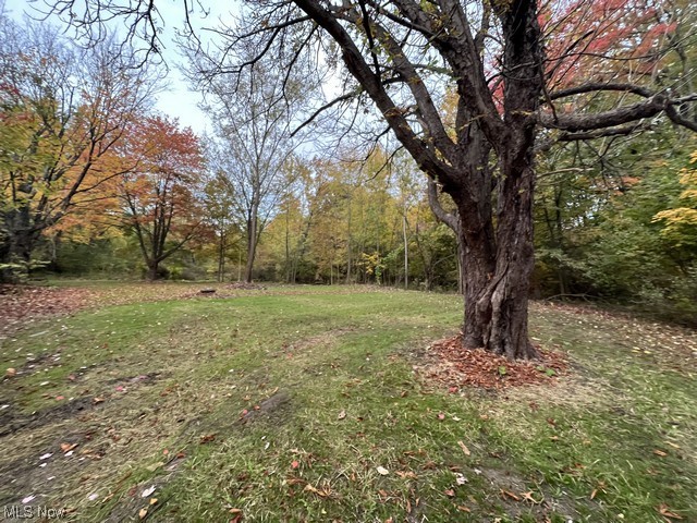 6742 Warren - Sharon Road Brookfield, OH 44403 - Photo 13 of 16 View of yard