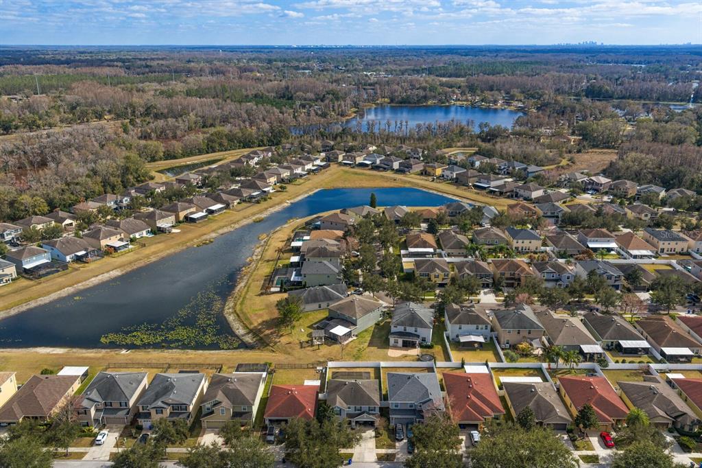 2839 Maple Brook Loop Lutz, FL 33558 - Photo 42 of 61