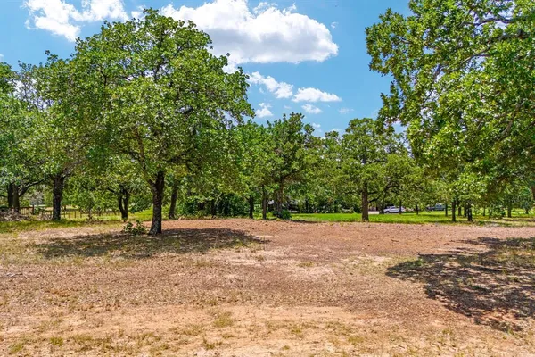 a view of a yard with a tree