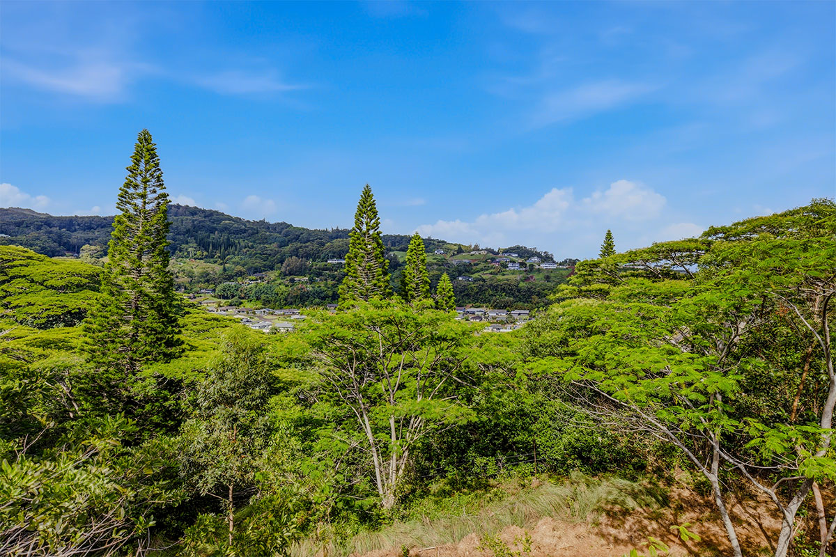 3310 Wawae Road Kalaheo, HI 96741 - Photo 5 of 30