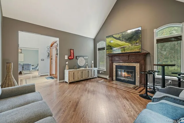 a living room with furniture and a fireplace