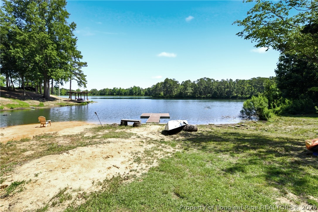 1075 Buffalo Lake Road Sanford, NC 27332 - Photo 43 of 49 a view of swimming pool and lake view