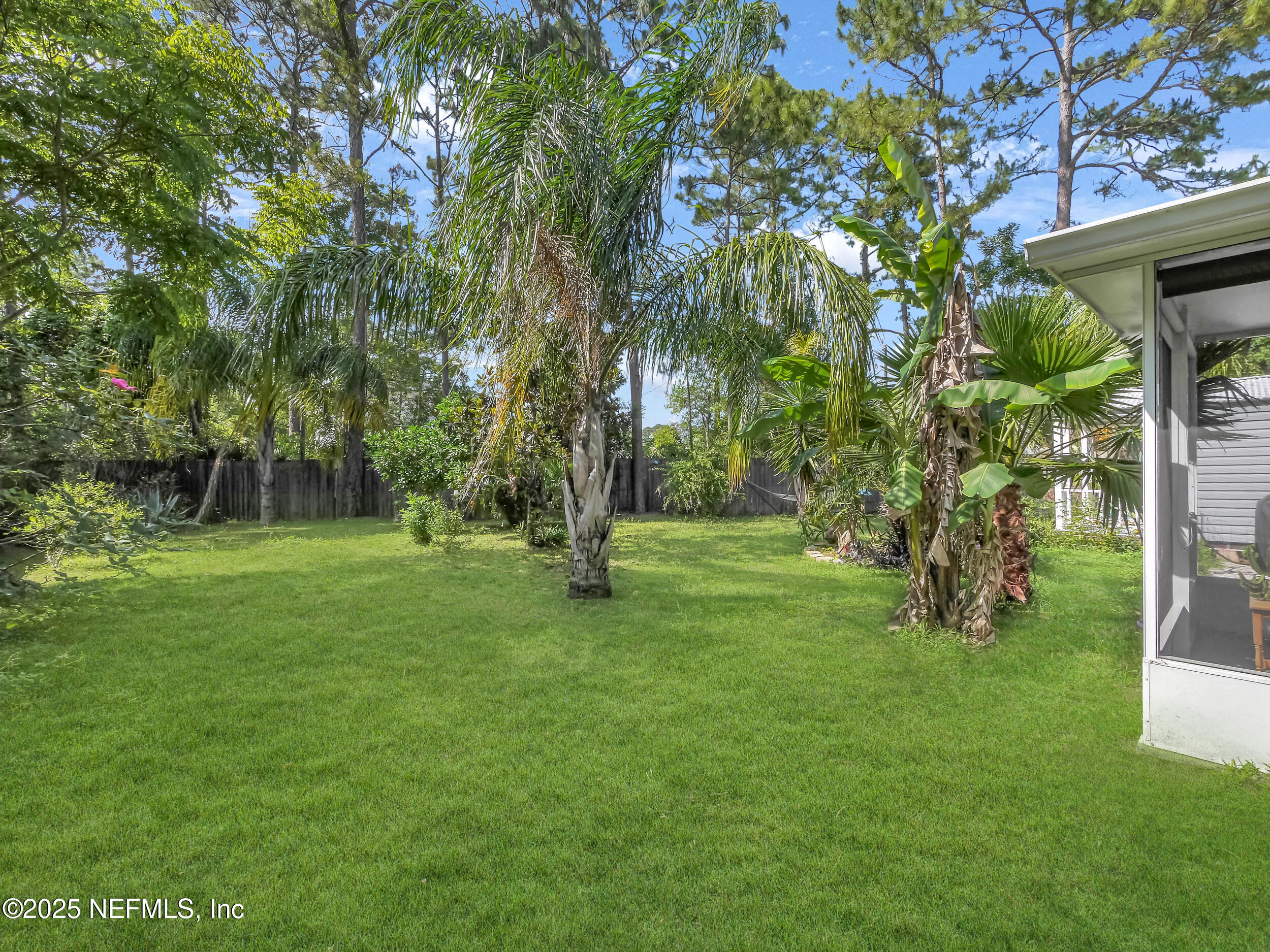 1193 4 Mile Road St. Augustine, FL 32084 - Photo 39 of 54 a view of a tree in a yard